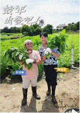 音乐之声巅峰 OK影视 音乐综艺